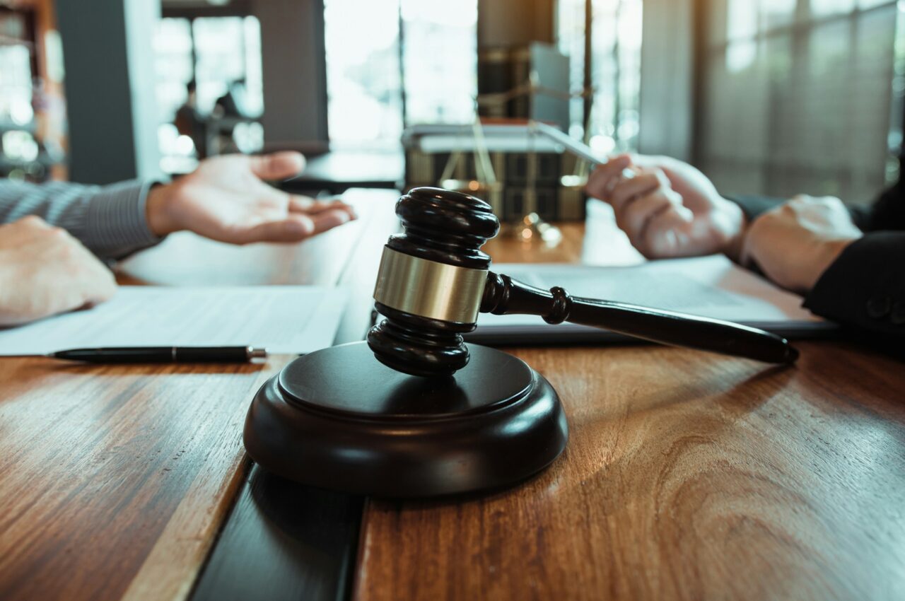 Public Entity Litigation